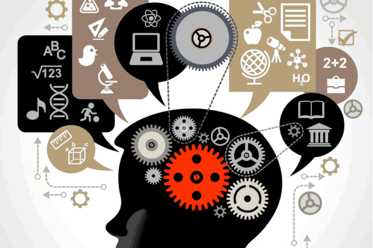 مبانی نظری خودتنظیمی هیجانی